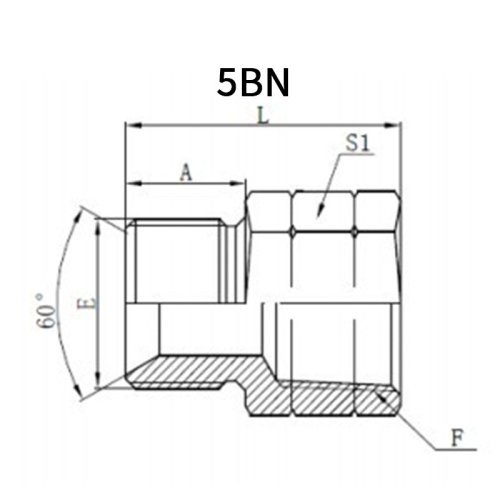 BSP Male*NPT Female