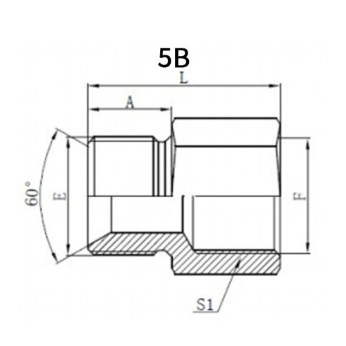 BSP MALE*BSP Female